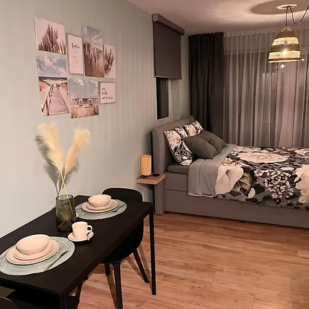 Apartament Mani