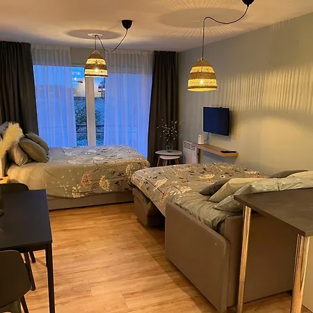 Mani Apartment
