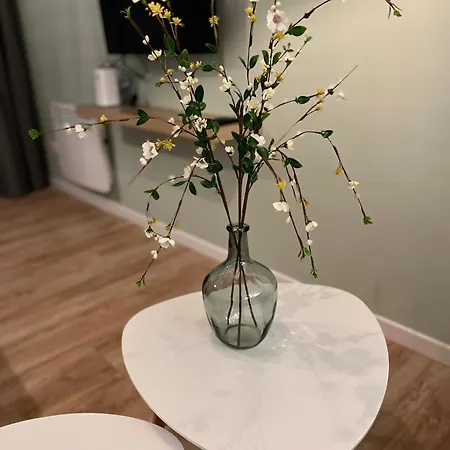 Appartement Mani