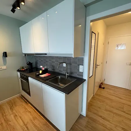 Mani Apartment *